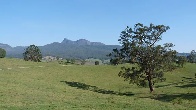 (113) Mount Warning.JPG